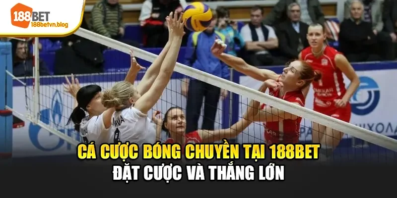 ca-cuoc-bong-chuyen-tai-188bet-dat-cuoc-va-thang-lon-de-dang