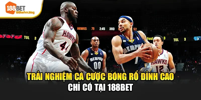 trai-nghiem-ca-cuoc-bong-ro-dinh-cao-chi-co-tai-188bet
